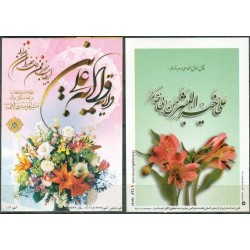 34 Different Labels of Islam Shia Islamic Religious Sites & Arabic Calligraphy relating Imam Ali