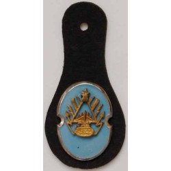 Iran Shah Pahlavi Era Military Army Officers Enamel Breast Badge