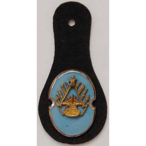 Iran Shah Pahlavi Era Military Army Officers Enamel Breast Badge