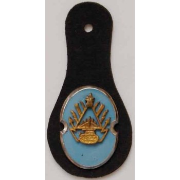 Iran Shah Pahlavi Era Military Army Officers Enamel Breast Badge
