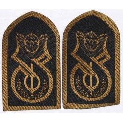 Iran Military Sepah-e Pasdaran Revolutionary Guards IRGC IRG Para Parachute Paratrooper Airborne AB Collar Patch Pair
