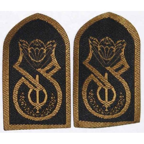 Iran Military Sepah-e Pasdaran Revolutionary Guards IRGC IRG Para Parachute Paratrooper Airborne AB Collar Patch Pair