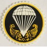 Iran Military Airborbe AB Para Parachute Paratrooper Patch