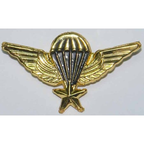 Iran Military Combat Airborne AB Elite Para Parachute Paratrooper Basic 1 Star Diecast Wing