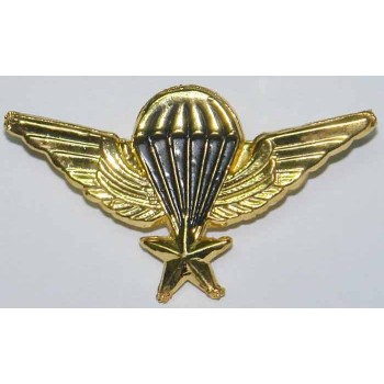 Iran Military Combat Airborne AB Elite Para Parachute Paratrooper Basic 1 Star Diecast Wing