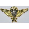 Iran Military Combat Airborne AB Elite Para Parachute Paratrooper Basic 1 Star Diecast Wing