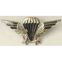 Iran Military Combat Airborne AB Elite Para Parachute Paratrooper Senior 2 Star Diecast Wing