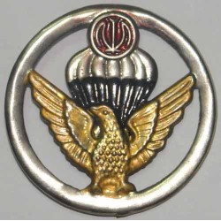 Iran Military AB Airborne Para Parachute Paratrooper Beret Hat Badge