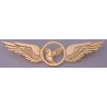 IranAir ( HOMA ) Iran Official Airlines Pilots Metal Wing