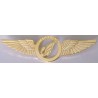 Iran MAHAN Air Airlines Pilots Metal Wing