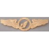 Iran MAHAN Air Airlines Pilots Metal Wing