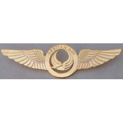 Iran Aseman Airlines Pilots Metal Wing