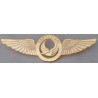 Iran Aseman Airlines Pilots Metal Wing