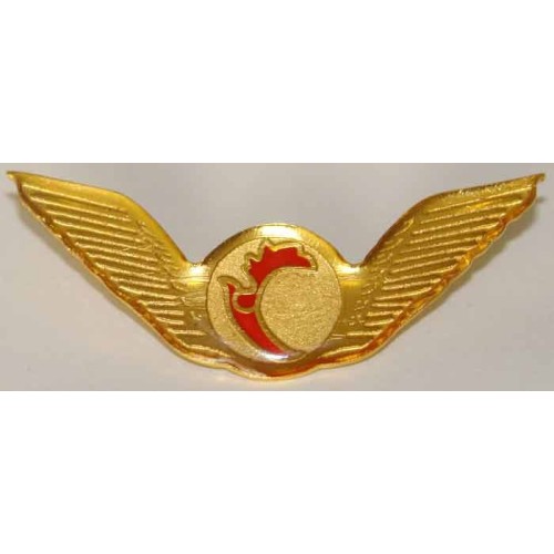 Iran ATA Airlines Pilots Metal Wing Iran ATA Airlines Pilots Metal Wing