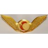 Iran ATA Airlines Pilots Metal Wing