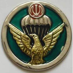 Iran Military AB Airborne Para Parachute Paratrooper Beret Hat Badge
