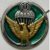 Iran Military AB Airborne Para Parachute Paratrooper Beret Hat Badge