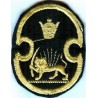 Iran Shah Pahlavi Era Lion & Sun ( Shiro Khorshid ) Military Original Embroidered Patch