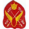 Iran Shah Pahlavi Era Military HAVANIRUZ Original Embroidered Shoulder Cloth Patch