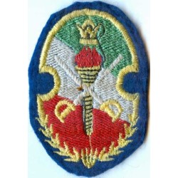 Iran Original Shah Pahlavi Era Military Embroidered Patch