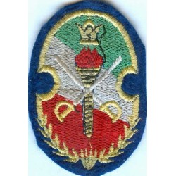 Iran Original Shah Pahlavi Era Military Embroidered Patch