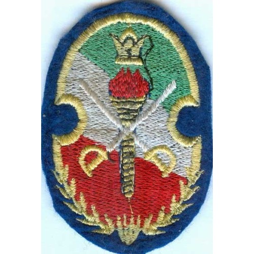 Iran Original Shah Pahlavi Era Military Embroidered Patch