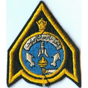 Iran Original Shah Pahlavi Era Imperial Iranian Air Force IIAF Air Training Center Embroidered Patch