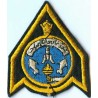 Iran Original Shah Pahlavi Era Imperial Iranian Air Force IIAF Air Training Center Embroidered Patch