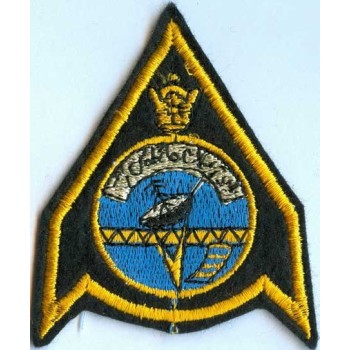 Iran Original Shah Pahlavi Era Imperial Iranian Air Force IIAF Embroidered Patch