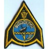 Iran Original Shah Pahlavi Era Imperial Iranian Air Force IIAF Embroidered Patch