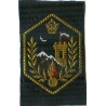 Iran Shah Pahlavi Era Police Gendarmerie Original Embroidered Patch