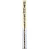 Iran Islam Shia Muslim Sufi Dervish Darvesh Walking Stick with nice characters all around