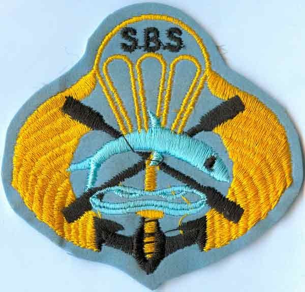 Iran Marines SBS Military Navy Commando SF Para Patch