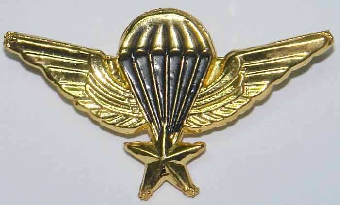 Iran Military Combat Airborne AB Elite Para Parachute Paratrooper Basic 1 Star Diecast Wing