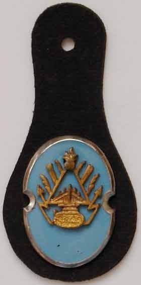 Iran Shah Pahlavi Era Military Army Officers Enamel Breast Badge