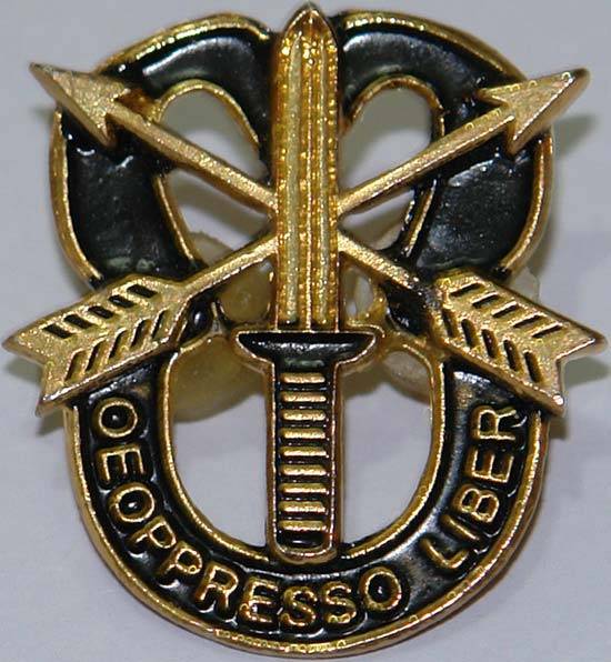Iran 65th Airborne Special Forces Brigade De oppresso liber Pin Badge