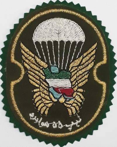 Iran Military Army 55th Airborne Brigade Special Forces Type I with Green Colour Cloth Background Patch