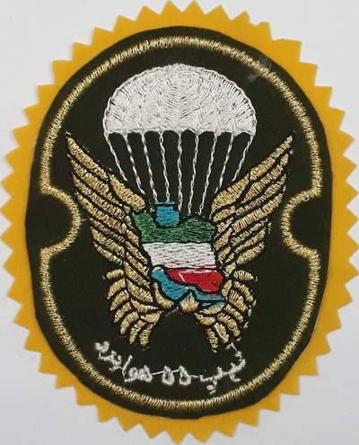 Iran Military Army 55th Airborne Brigade Special Forces Type I with Yellow Colour Cloth Background Patch