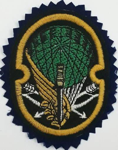 Iran Military Army 65th Airborne Special Forces (NOHED) Brigade Type I with Dark Blue Colour Cloth Background Patch T1