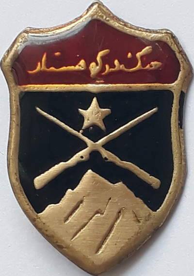 Iran Military Elite Special Forces Mountain Warfare Qualification Badge Type V